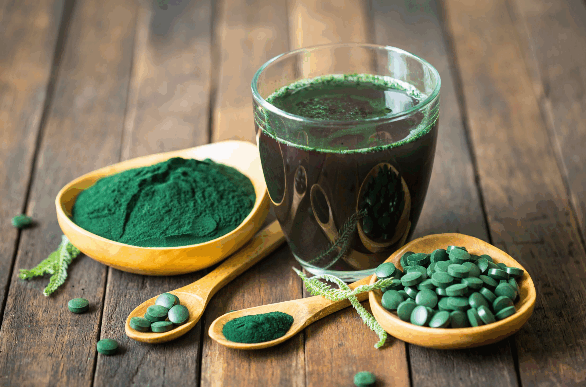 Co je to spirulina a proč ji vyzkoušet