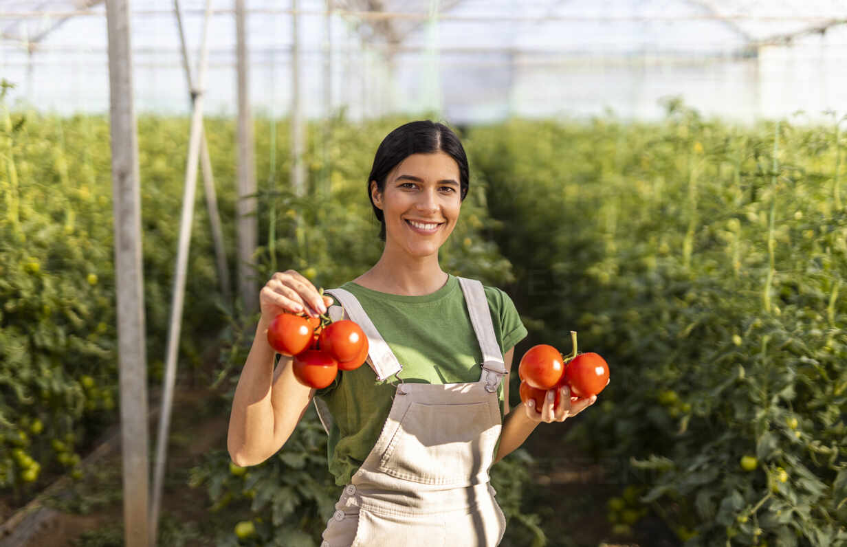 Výživová hodnota rajčat a jejich přínosy pro zdraví